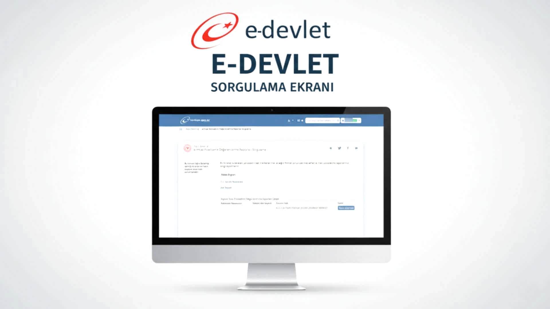 E-Devlet Psikoteknik Raporu Sorgulama Ekranı